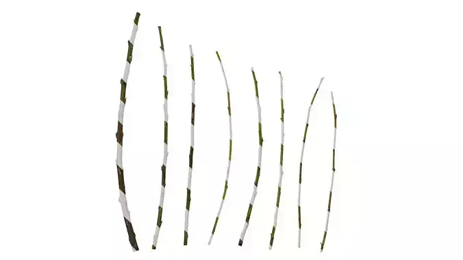 Anydrafts Debregeasia orientalis Stem 01