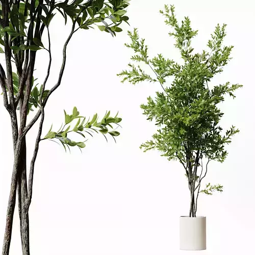 Indoor Plant 22 Low-poly 3D model