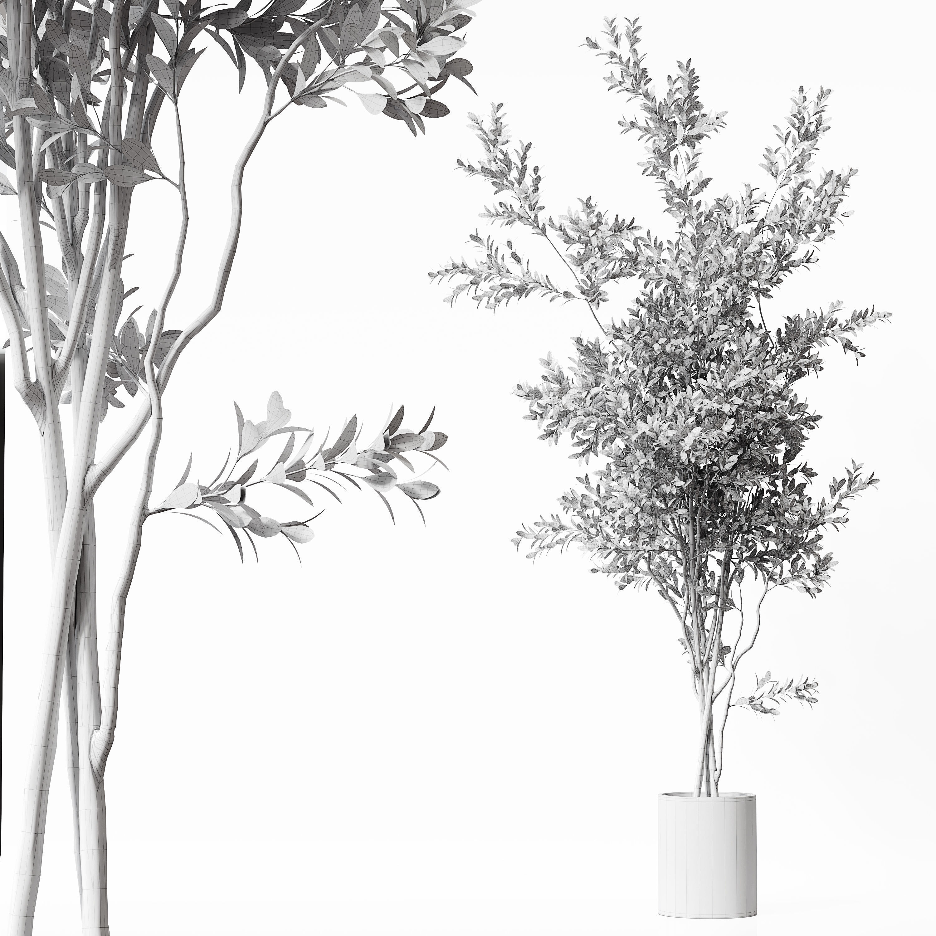 Indoor Plant 22 Low-poly 3D model_3