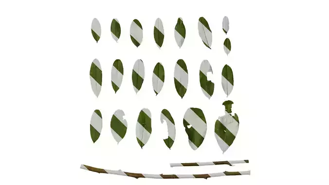 Anydrafts Desmodium reticulatum Leaf 01