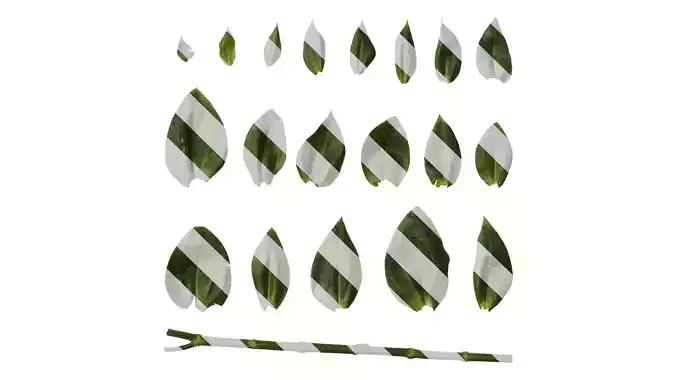 Anydrafts Eustoma russellianum Leaf 03