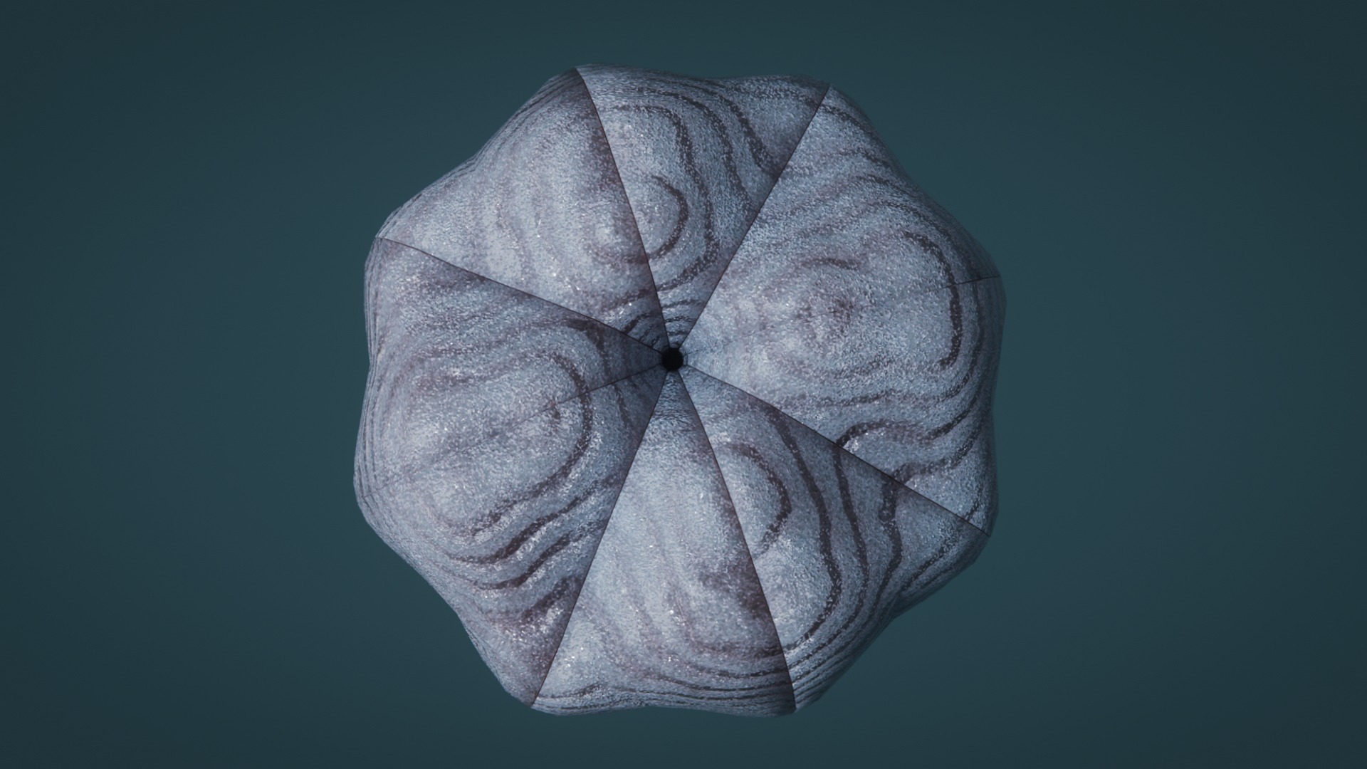 Siphusauctum Low-poly 3D model_4