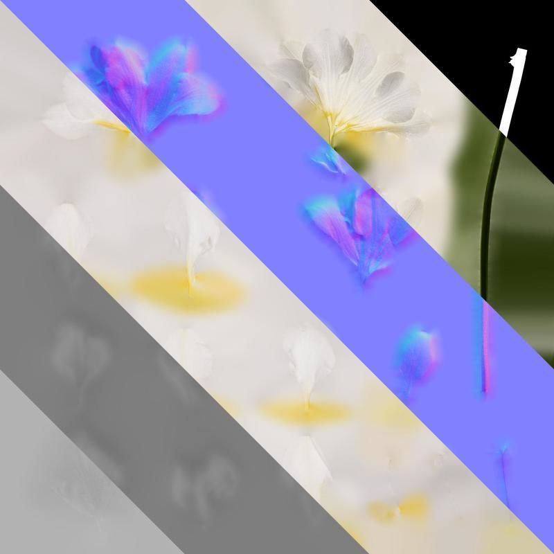 Anydrafts Freesia refracta Flower 11 Texture_8