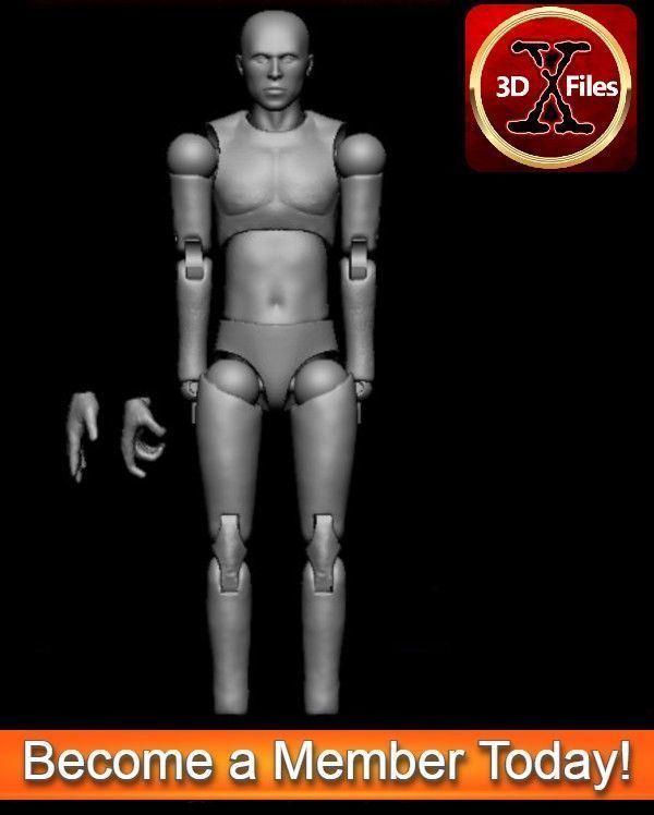 Articulated HotToys Clone Trooper Body - Narrow Body 3D print model_3