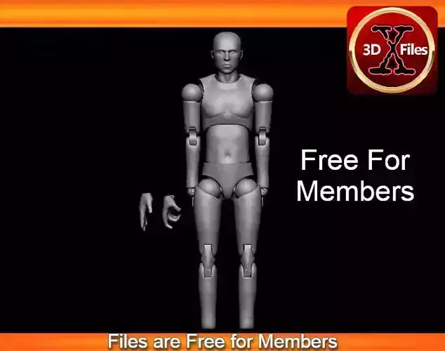 Articulated HotToys Clone Trooper Body  - Narrow Body 