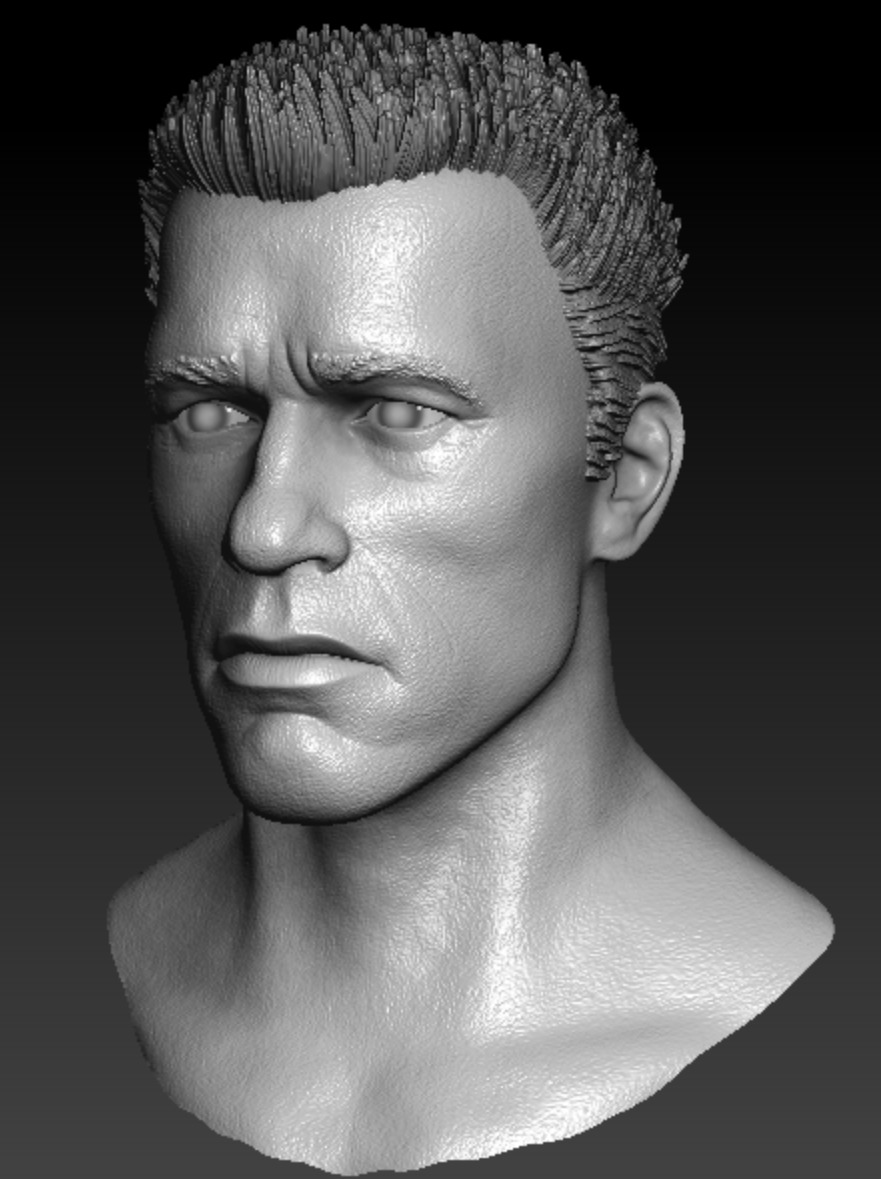 Arnold Schwarzenegger Terminator Headsculpt - 2 Sculpts 3D print model_3