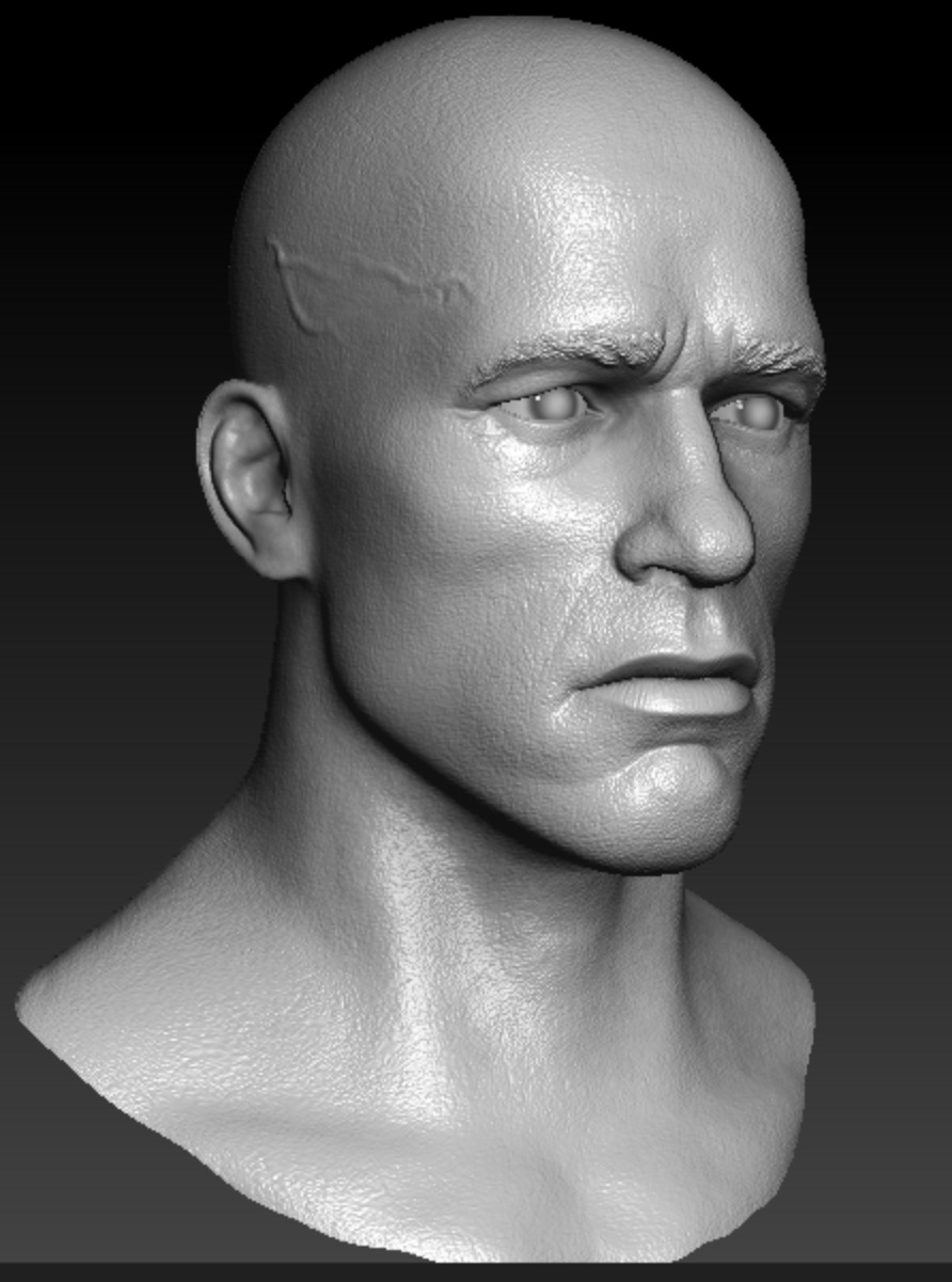 Arnold Schwarzenegger Terminator Headsculpt - 2 Sculpts 3D print model_2