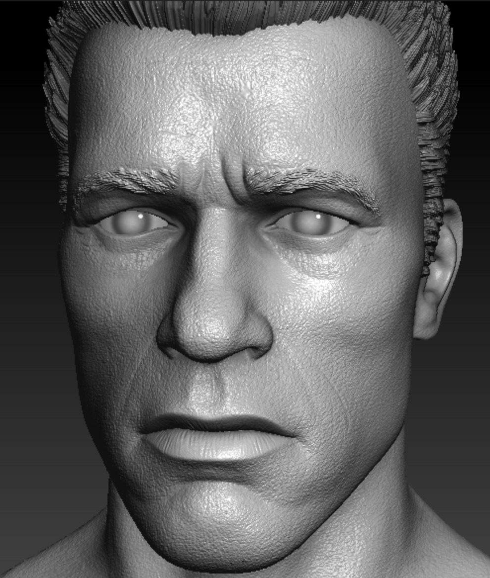 Arnold Schwarzenegger Terminator Headsculpt - 2 Sculpts 3D print model_1
