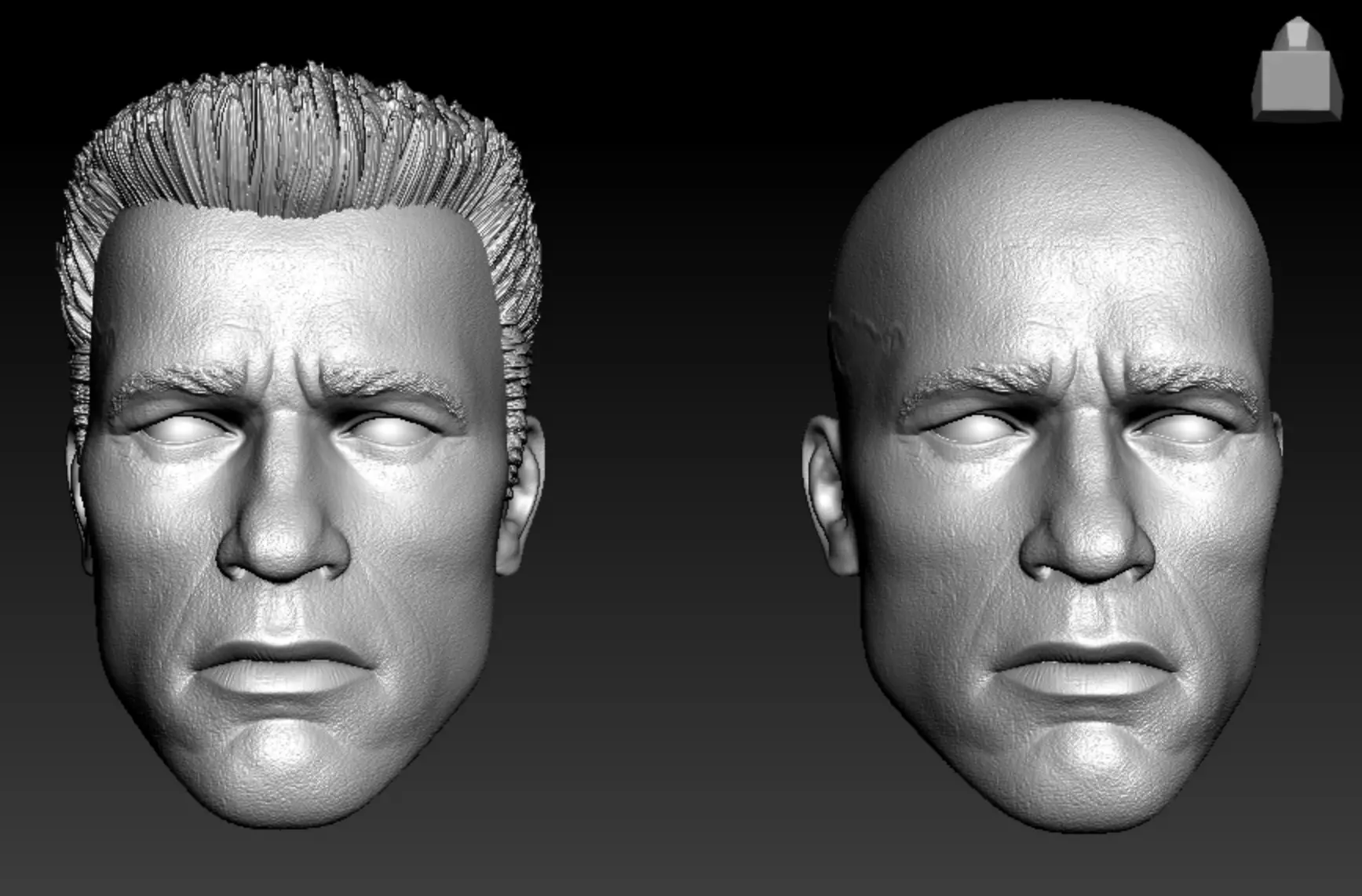 Arnold Schwarzenegger Terminator Headsculpt - 2 Sculpts 3D print model_0