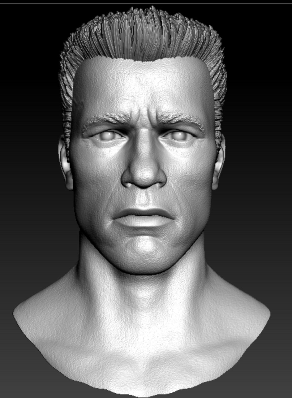 Arnold Schwarzenegger Terminator Headsculpt - 2 Sculpts 3D print model_4