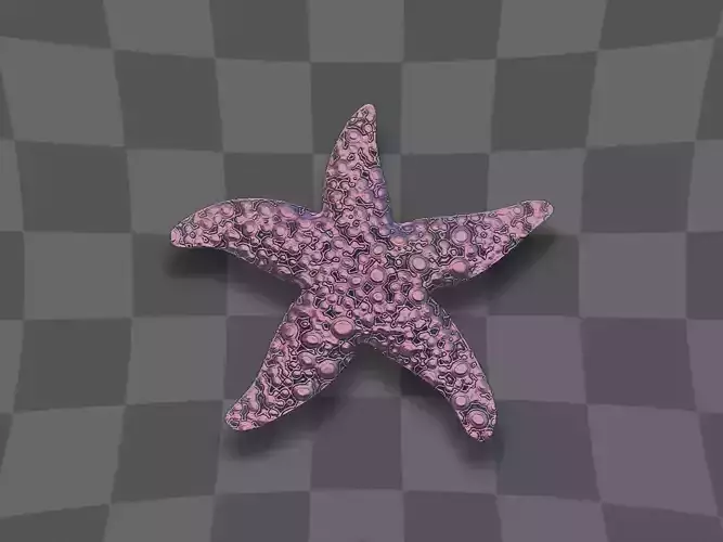 Starfish 3D print model