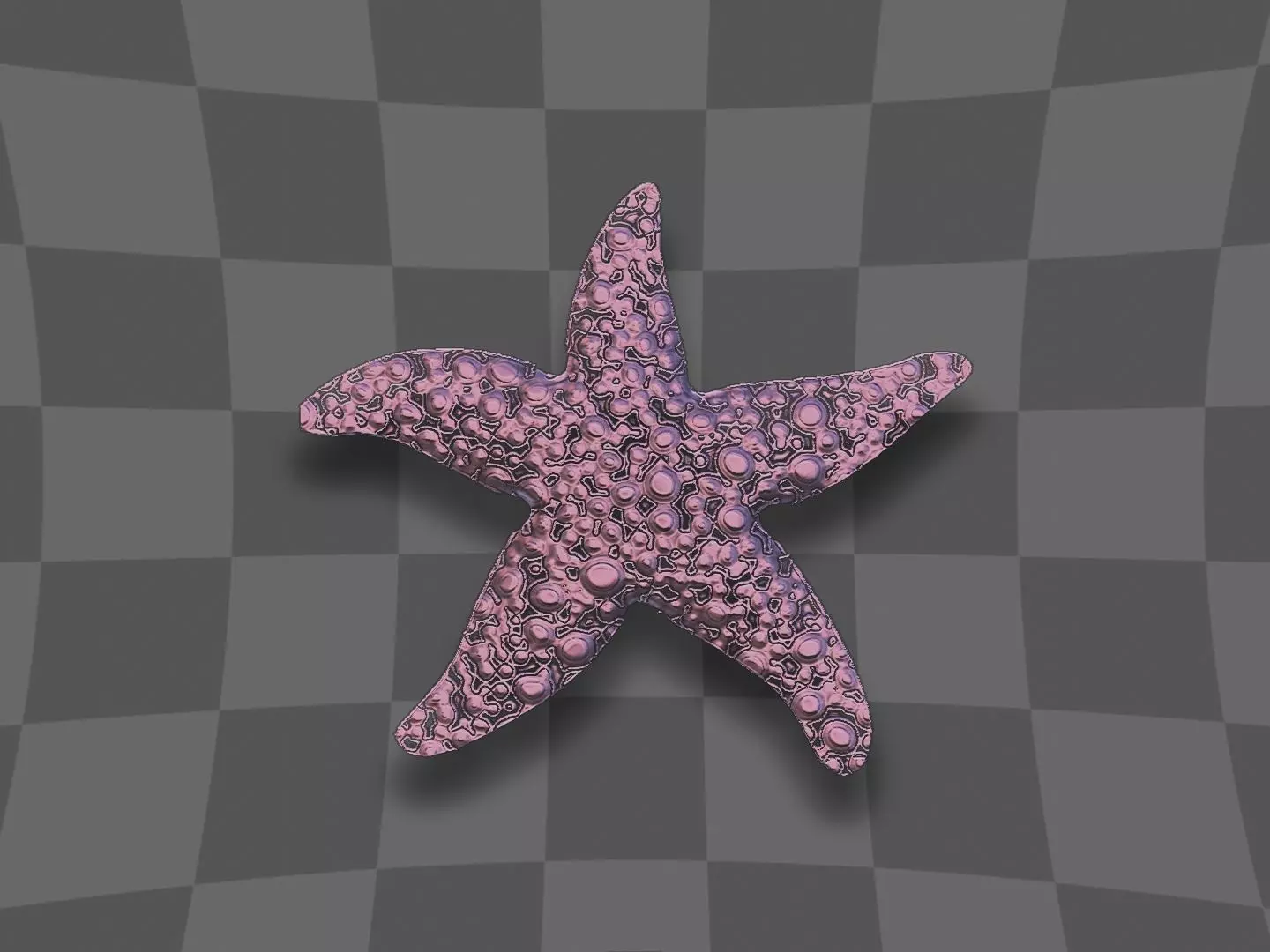 Starfish 3D print model