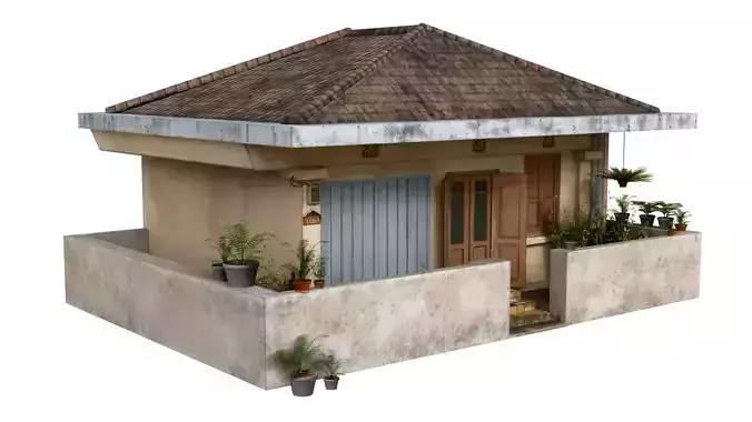 Indonesia Heritage House 2