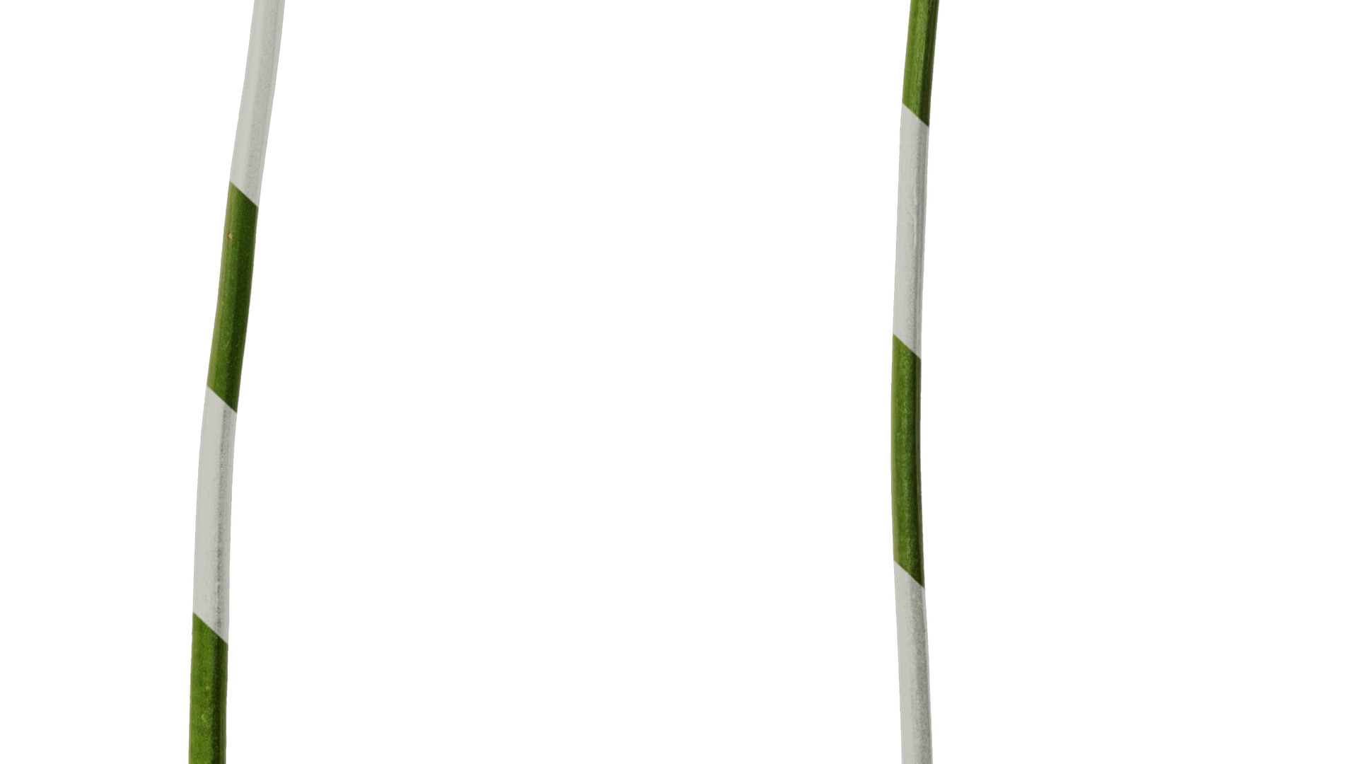 Anydrafts Freesia refracta Flower 15 Texture_6