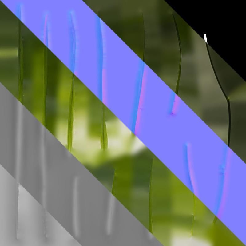 Anydrafts Freesia refracta Leaf 01 Texture_8