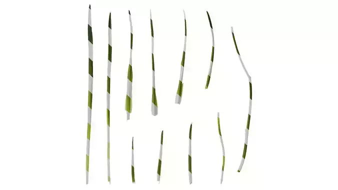 Anydrafts Freesia refracta Leaf 01