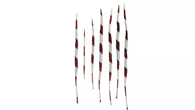 Anydrafts Dracaena marginata colorama Leaf 01