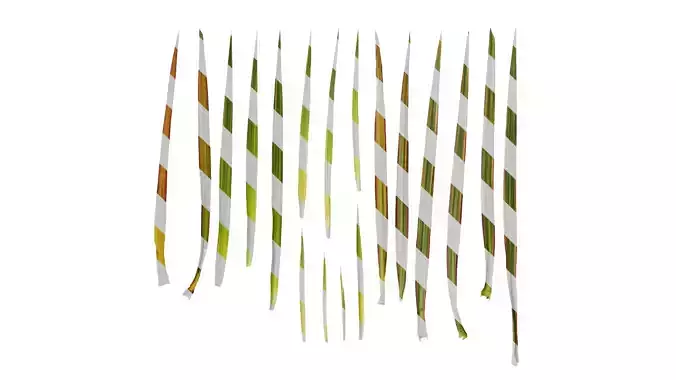 Anydrafts Dracaena marginata tricolor Leaf 02