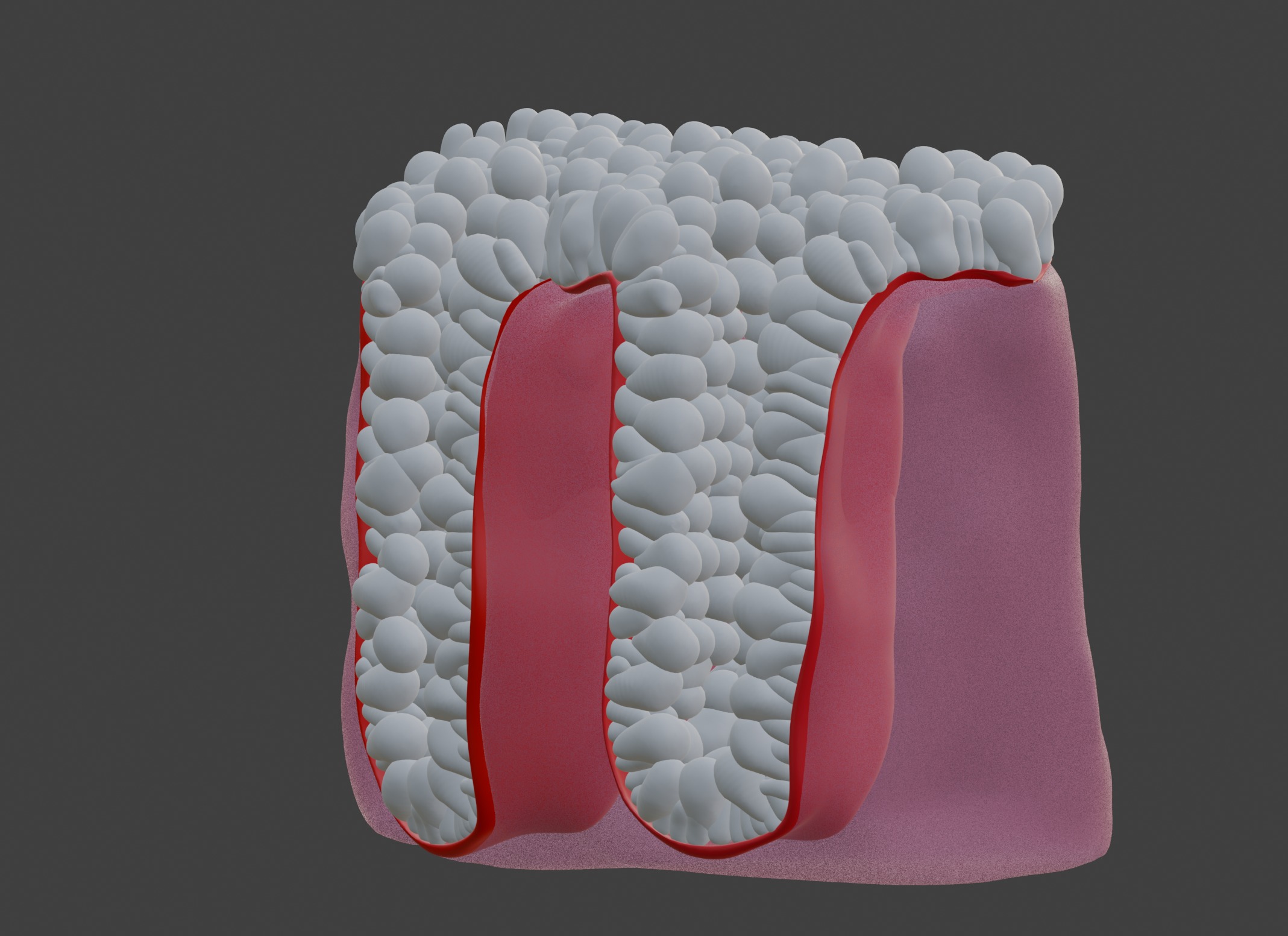 3D Model of the Epithelium of the Colon 3D print model_11