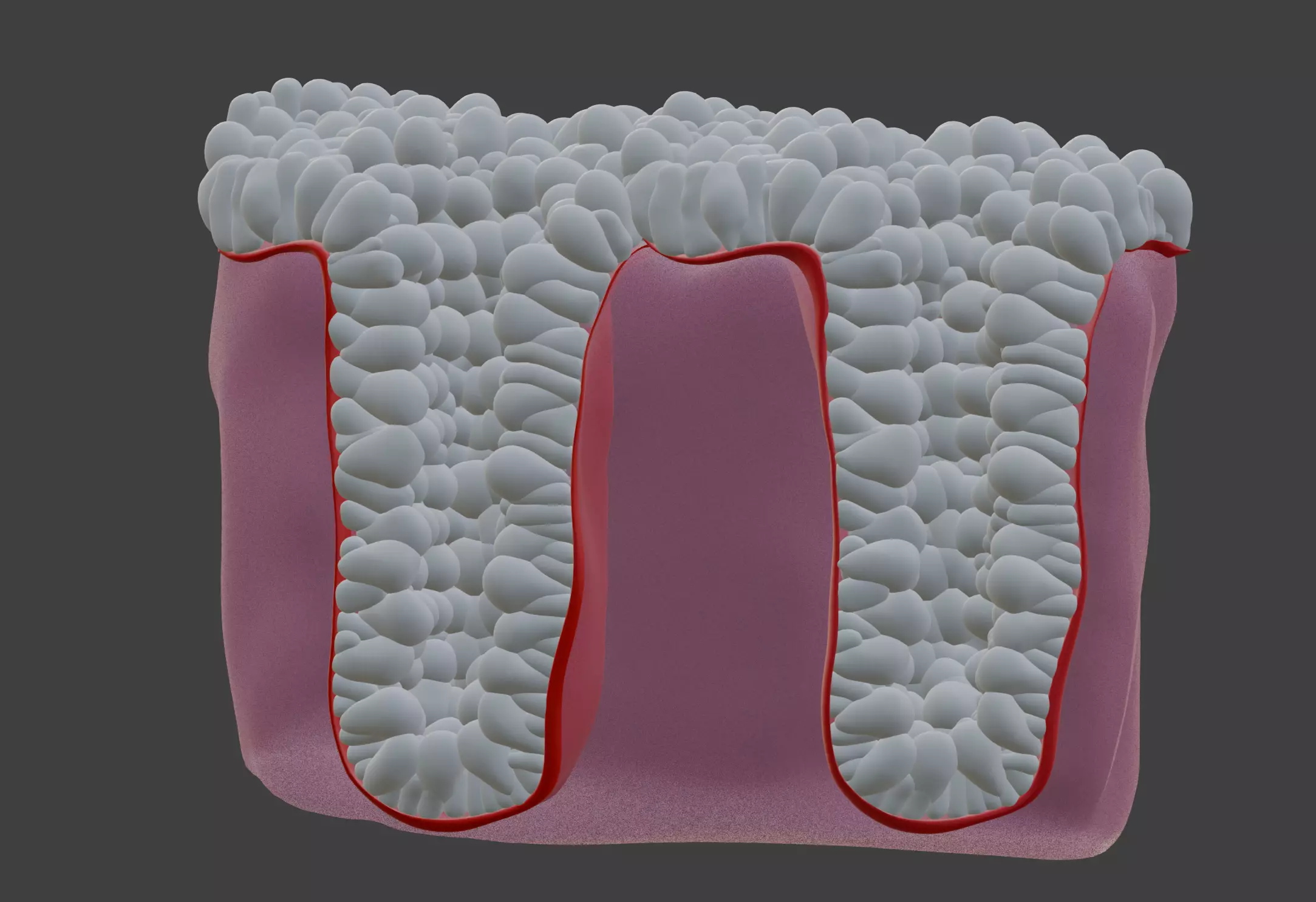 3D Model of the Epithelium of the Colon 3D print model_0