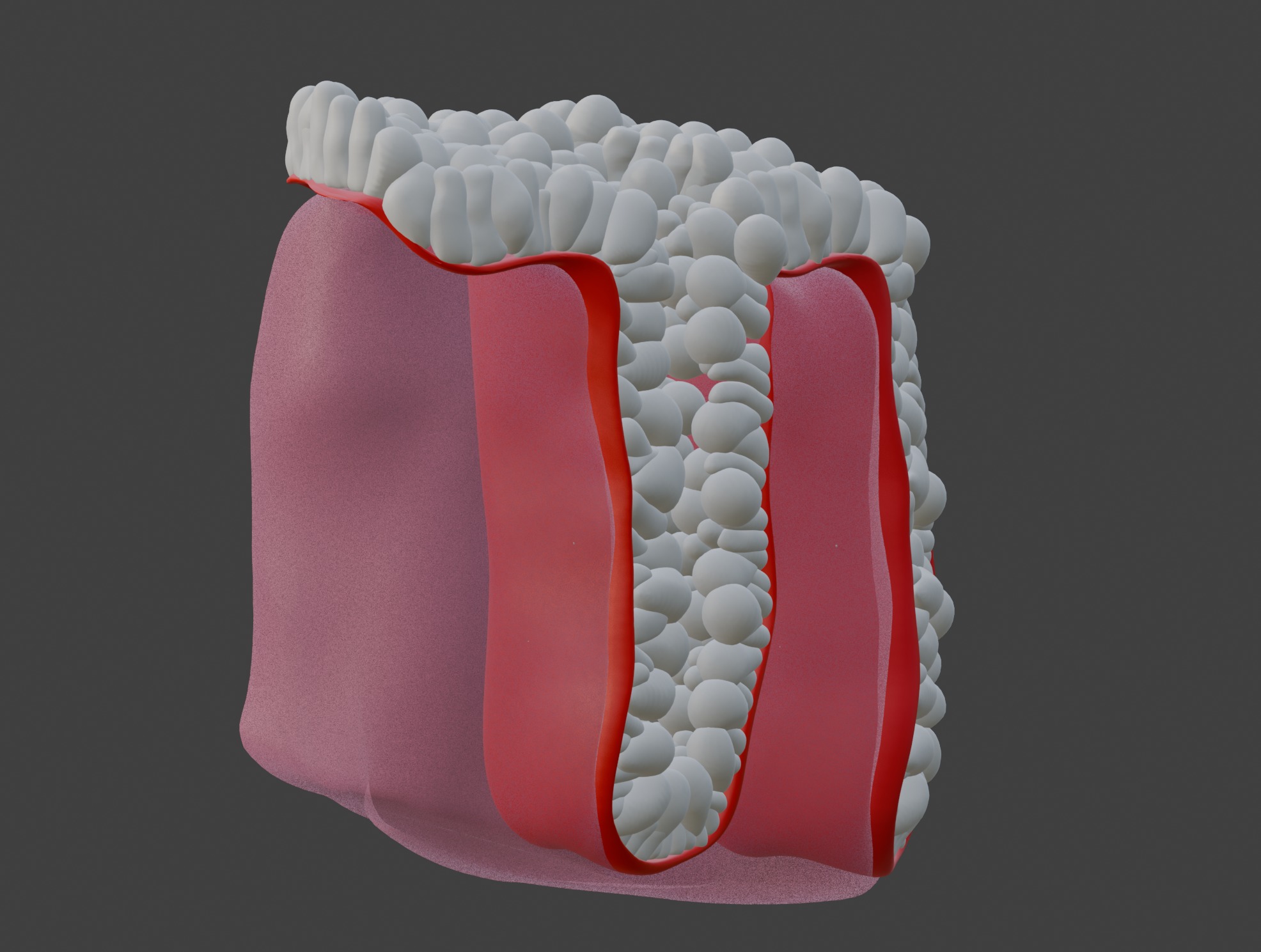 3D Model of the Epithelium of the Colon 3D print model_10