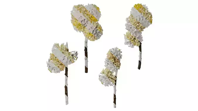 Anydrafts Edgeworthia chrysantha Flower 02