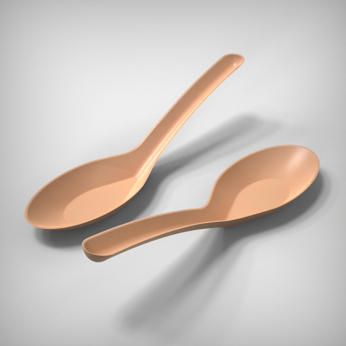 Soup Spoon 3D print model_4