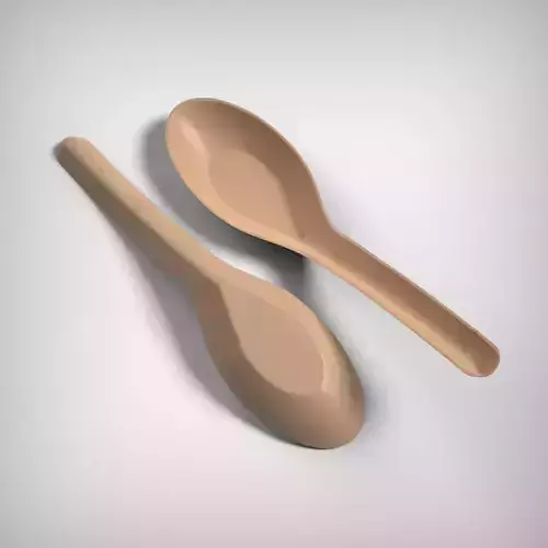 Soup Spoon 3D print model