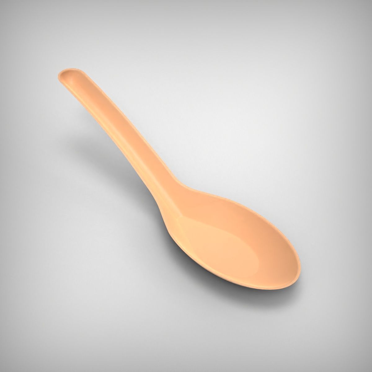 Soup Spoon 3D print model_8