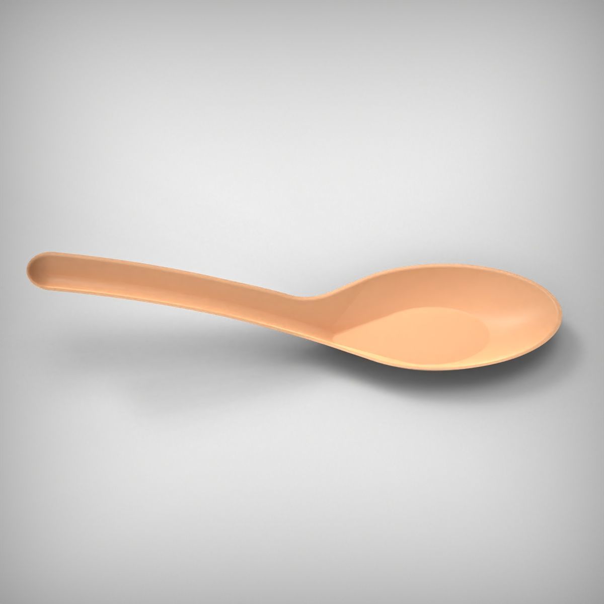 Soup Spoon 3D print model_5