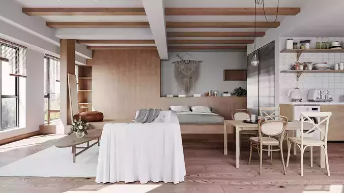 apartment interior scenes    