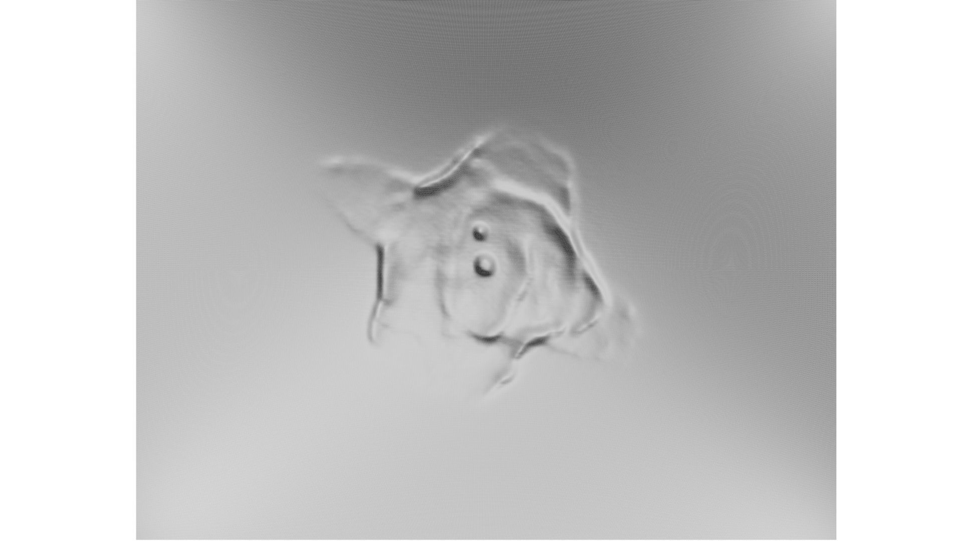 Stingray Nebula 3D model_10