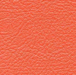 Backyard Landscape Design 3D model_19