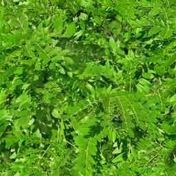 Backyard Landscape Design 3D model_33