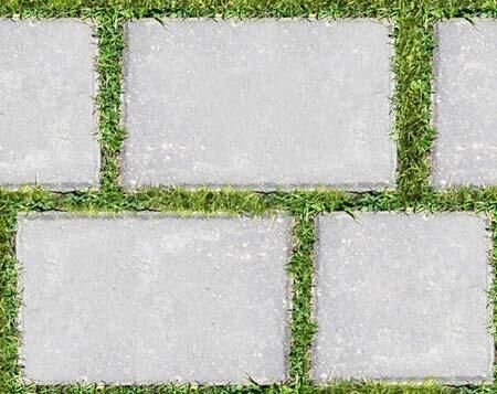 Backyard Landscape Design 3D model_10