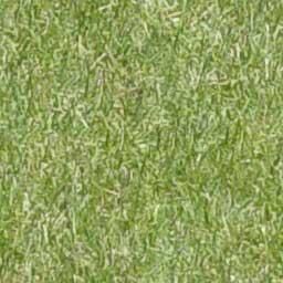 Backyard Landscape Design 3D model_30