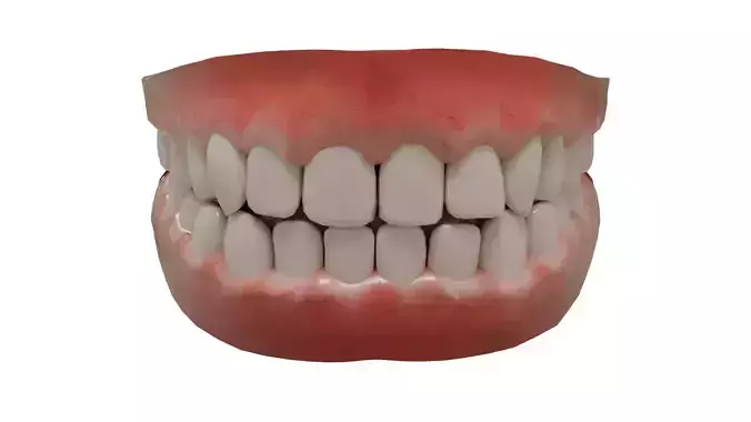 Teeth and Gums