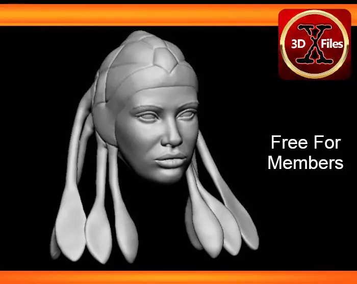 Star wars Head Sculpt - Jedi Master Adi Gallia - Action Figure 3D print model