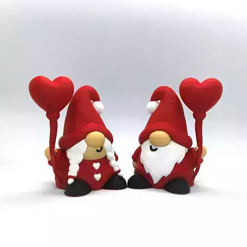 Valentines Special - Gnome Couple