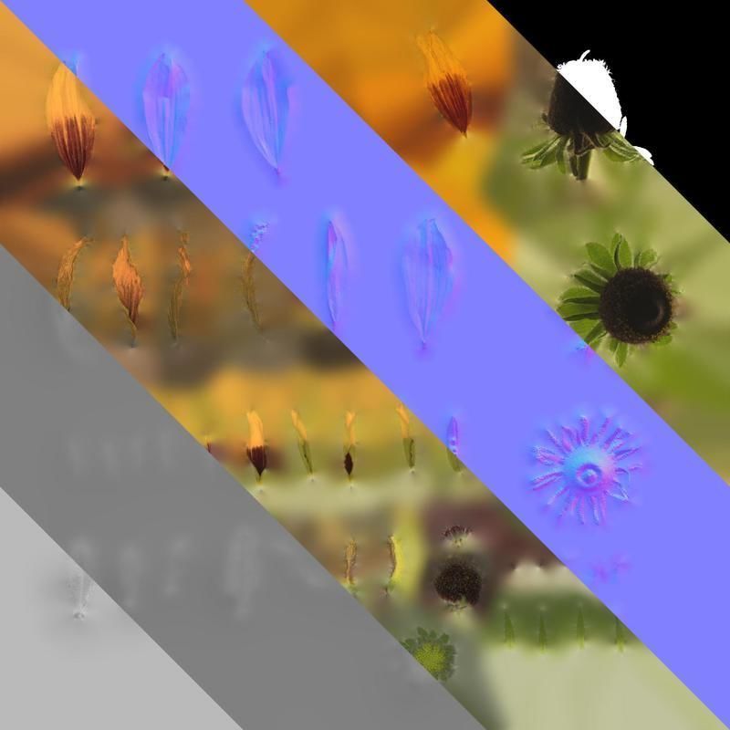 Anydrafts Gaillardia pulchella Flower 05 Texture_8