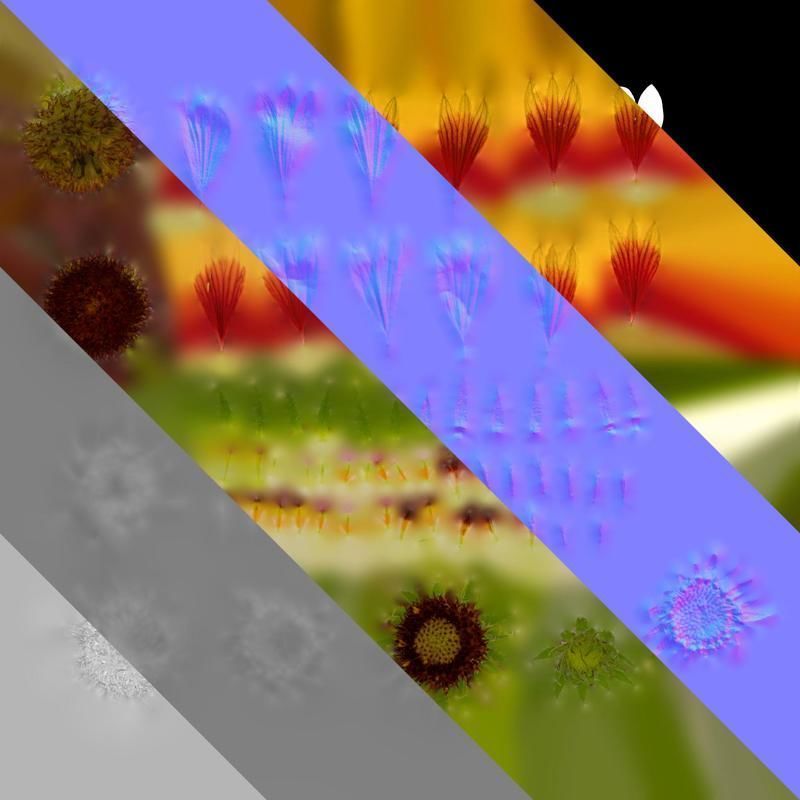 Anydrafts Gaillardia pulchella Flower 06 Texture_8