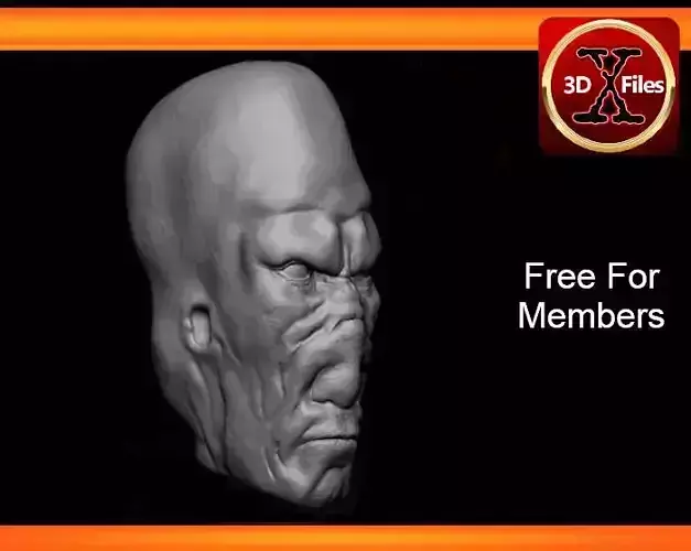 Munn Head Sculpt - Star wars custom Action Figure 