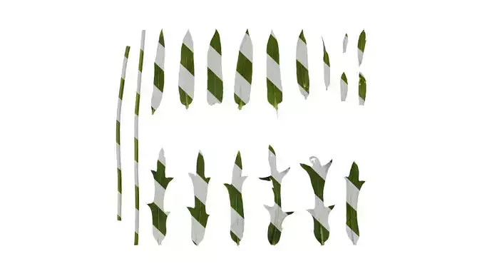 Anydrafts Gaillardia pulchella Leaf 01