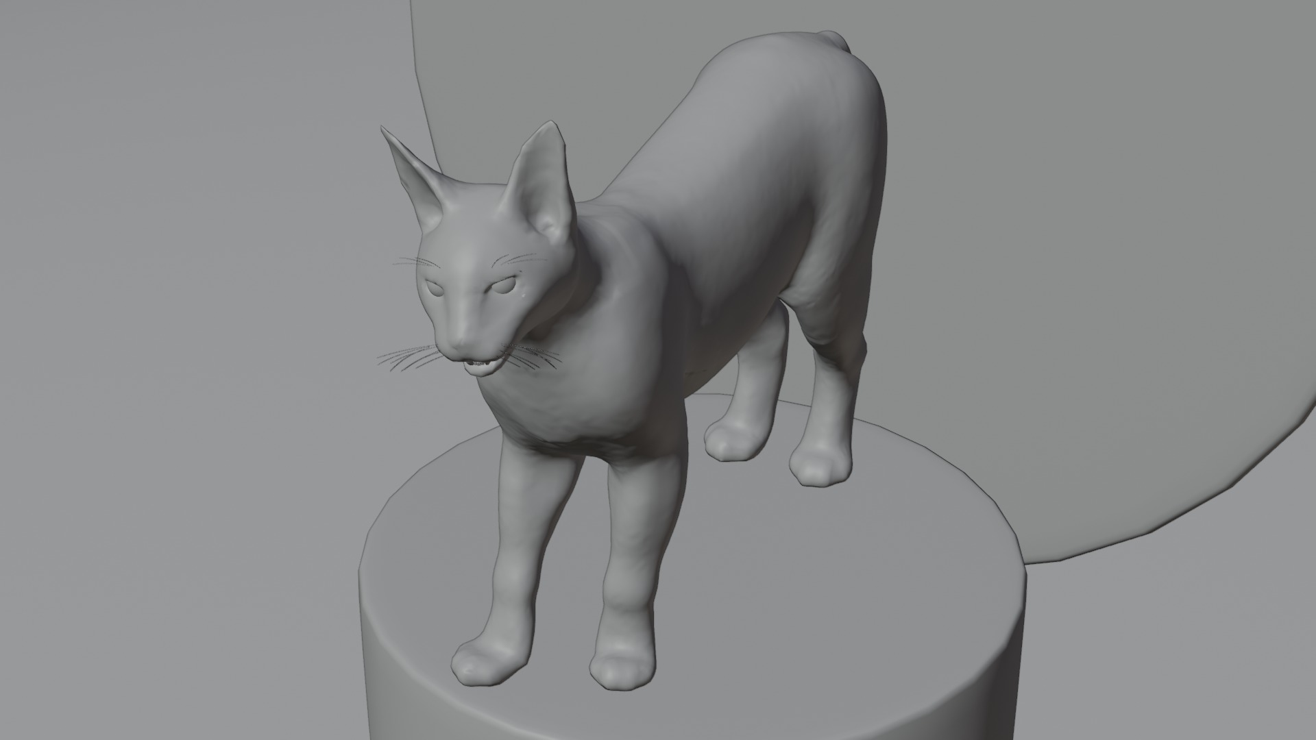Caracal Cat with rigging and animation 3D model_3