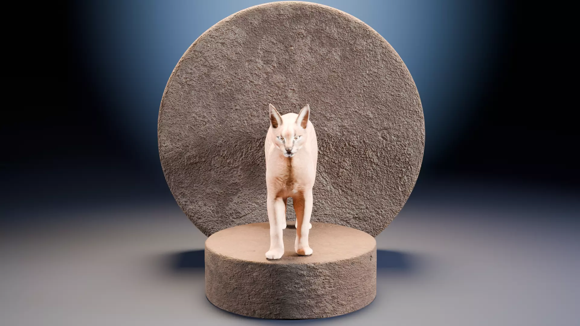 Caracal Cat with rigging and animation 3D model_0