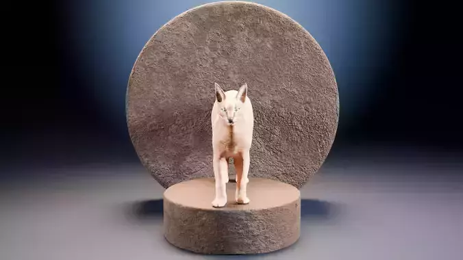 Caracal Cat with rigging and animation