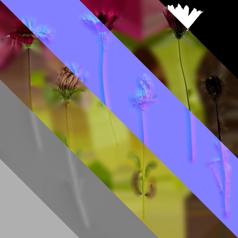 Anydrafts Gazania rigens Atlas 03 Texture_8