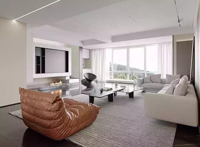 apartment interior scenes    