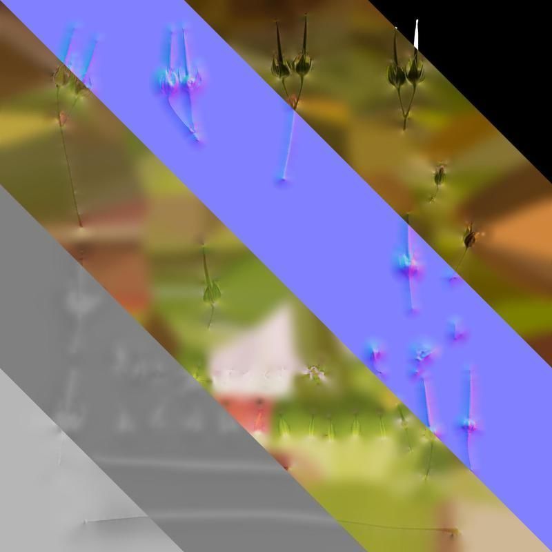 Anydrafts Geranium wilfordii Flower 01 Texture_8