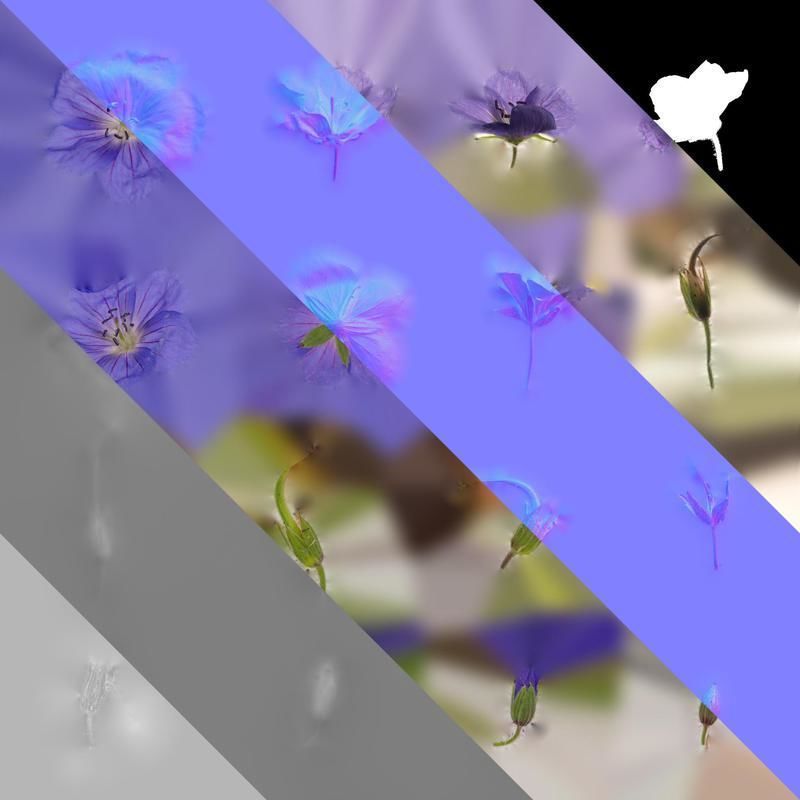 Anydrafts Geranium wilfordii Flower 02 Texture_8